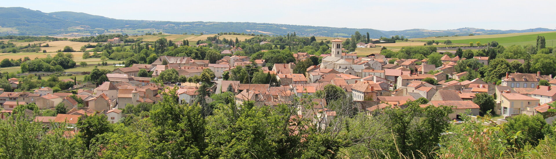 Révison du Plan Local d\'Urbanisme de la commune d\'Artonne